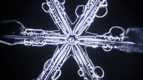 nubbsgalore:snowflake crystallization microscopy (x)