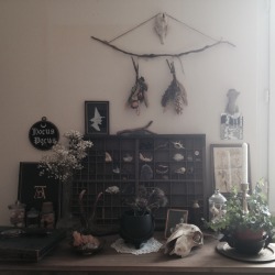 thedeerandtheoak:  Bits and pieces of what I call ‘home’.