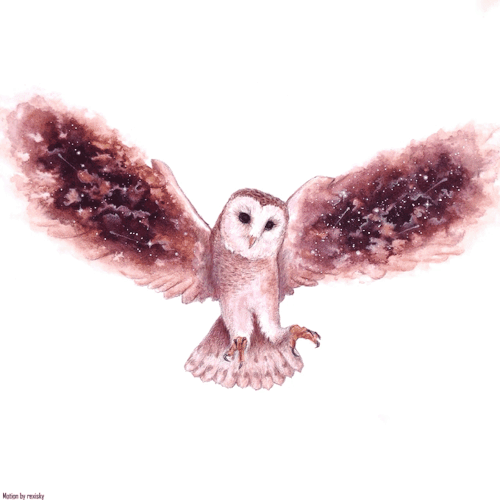 rexisky: Cosmic Owl by DavidArt | Motion Effect by rexisky Instagram - Facebook | DavidArt on Instag