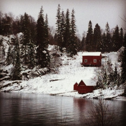 homeintheforest:  by bentefroilandlorentsen http://ift.tt/1fsAxZH by visitnorway.com on Flickr. 