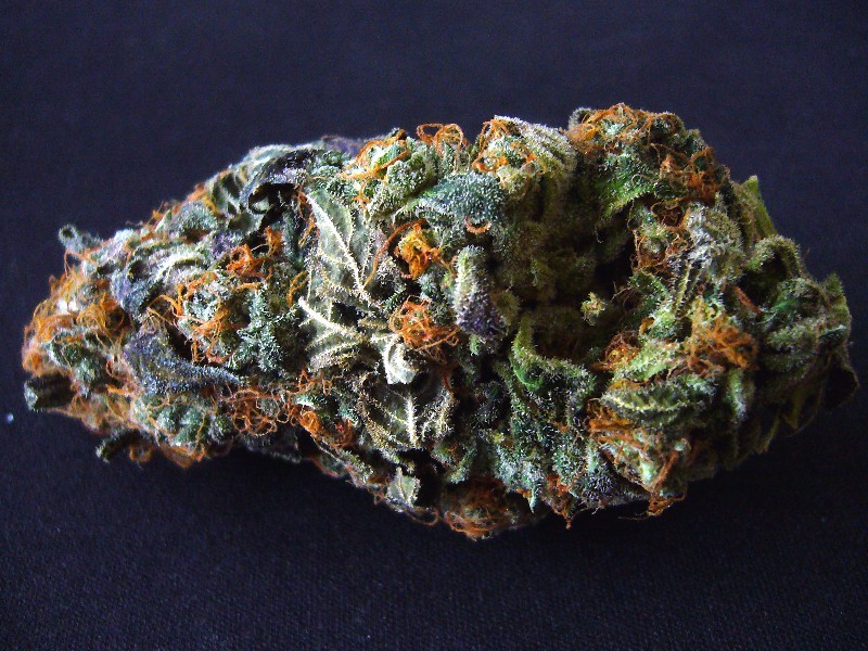 Nice hd weed shot. Unknown strain name, but it is known to be a Sativa.