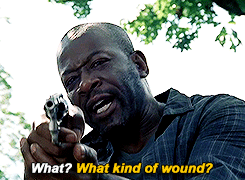macheteandpython:101 // 312 // 516