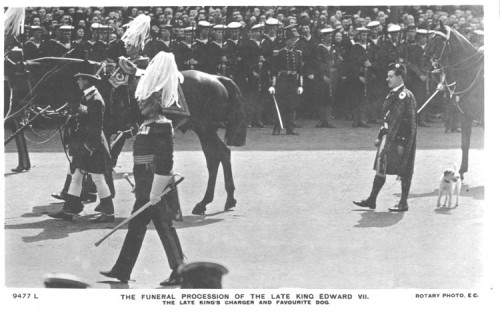 Postcards featuring Caesar, the Wire Fox Terrier owned by England’s King Edward VII. Caesar&rs