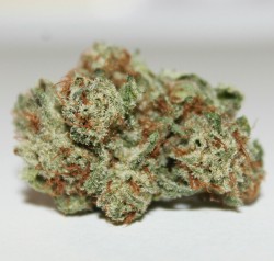 Karlkronic:  Pretty Nug Of Cherry Pie:)  Picturesque, My Ni**A!!.