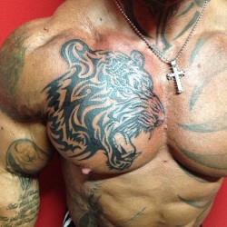 drwannabe:  Lee Priest  [more posts of Lee]