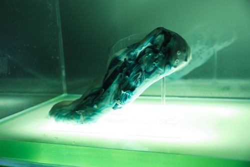 cnet:
“  This running shoe is made of protocells, a form of synthetic biology that behaves like living cells. In 2050, we might be popping our bio-shoes into a vat of liquid to regenerate overnight.
”