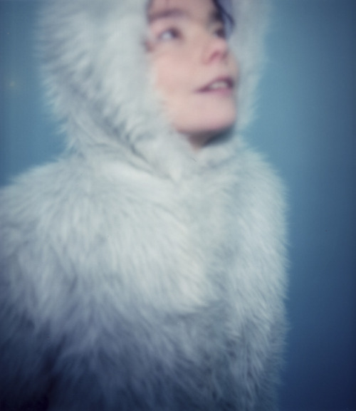 bjorkfr:  Snorri Brothers (1997)