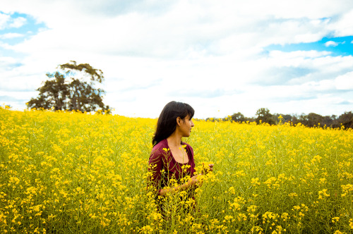 Canola dreaming(Kojonup, Western Australia)