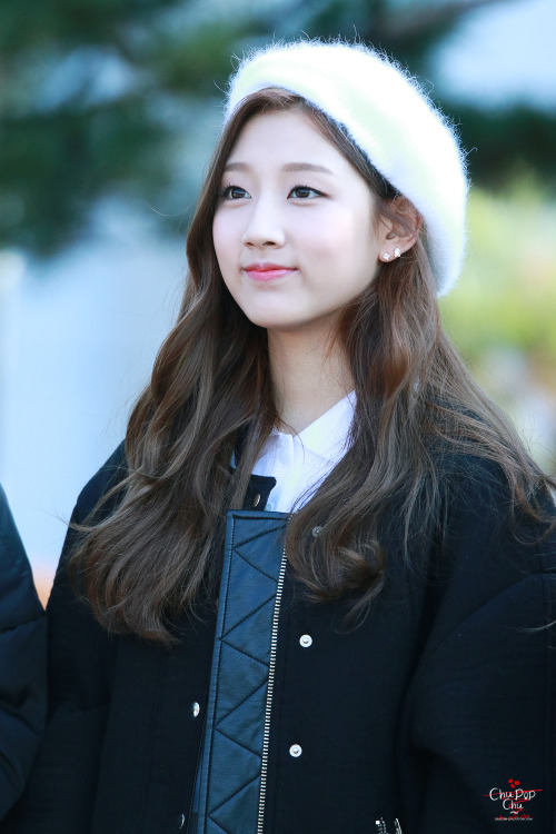 lovelyz8:151211 Music Bank Mini Fanmeeting (1, 2) © Chu Pop Chu | do not crop or edit.