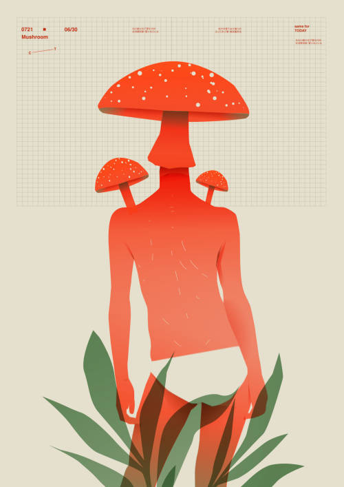 Rokas Aleliūnas (Lithuanian). Mushroom.