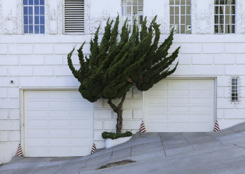 hillbillymagazine:Photo by Adrien Blondel
