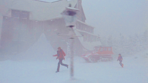 kimwxler: Some places are like people: some shine and some don’t. The Shining (1980) dir. Stanley Kubrick  