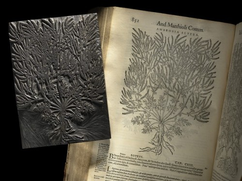 historyarchaeologyartefacts:Woodblock carving of sea wormwood (left) used to print a page (right) of