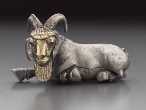 archaicwonder:Proto-Elamite Silver and Gold Plated Mountain Goat, Susa, Iran, C. 3500-2700 BC The Pr