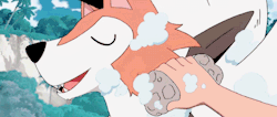 harukasenpais:“Lycanroc is a Rock type, yet it loves water and shampoo.”