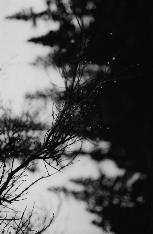 MELODRAMA