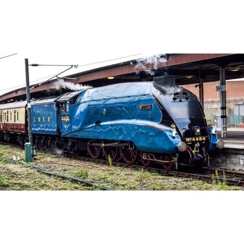 train12341:  4464 BITTERN THE CATHEDRALS EXPRESS at YORK 04.12.2014