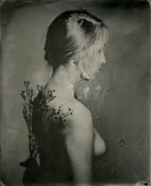 brookelabrie:  9.25" x 7.5" Portrait with Sprig Tintype © brookelabrie { get 25% off with discount code 25OFF at checkout } 
