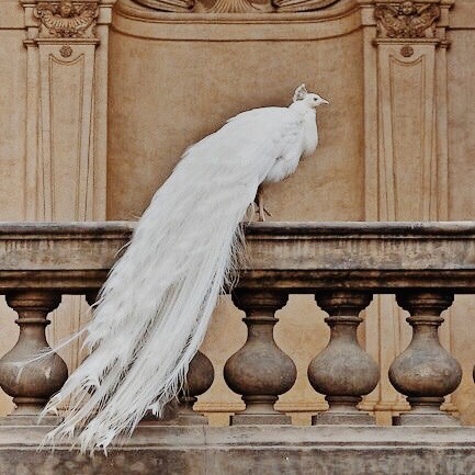 Greek Mythology From A To Z: