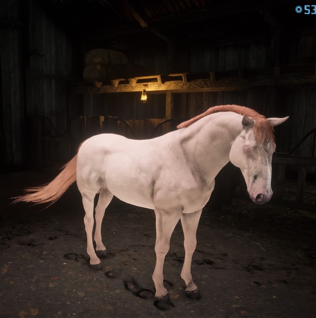 Ceez [+] on X: My Horse, Ur BBEETTCH is as Ride or Die as they come..  but definitely not the brightest. #RDR2 #RedDeadRedemption2 #TheViewage   / X