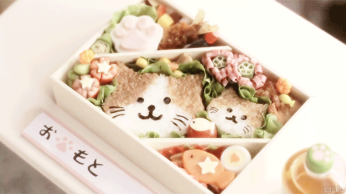 Sex eteru:cats bento for the traveling cats pictures