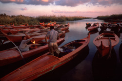 biladal-sham:Egypt. Nile Delta. 1999. Stuart Franklin