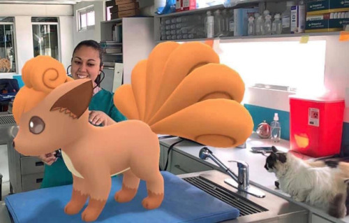 wiianator:retrogamingblog:A veterinary hospital in Mexico used Pokemon Go’s snapshot feature t