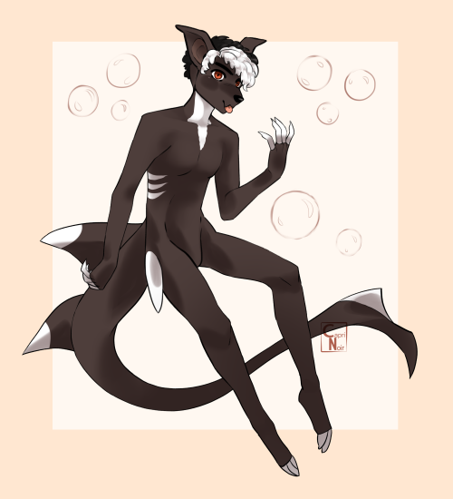 Oop. Made another one.This is Coa. He’s another nurse shark and my sister’s other dog haha.
