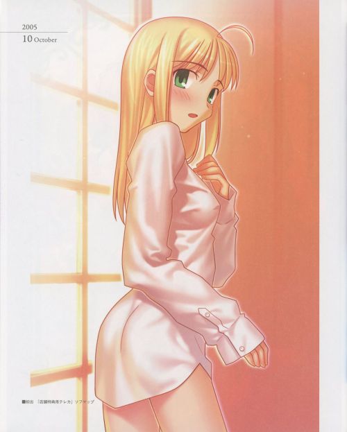 [TYPE-MOON] Fate/Art Chronicle Fate 10th Anniversary Art Book (Fate/stay night, Fate/hollow ataraxia)