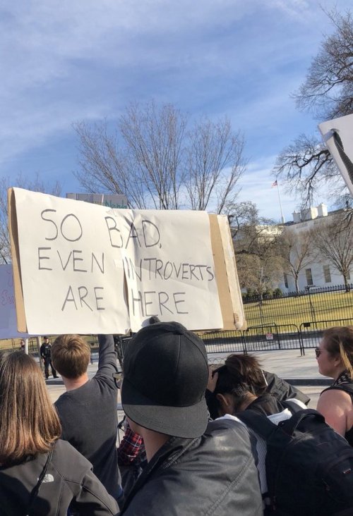 Best signs from the women’s march,