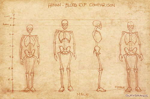 garrison-of-misfits:Part 2 of my project on the hypothetical anatomy of World of Warcraft’s Ho