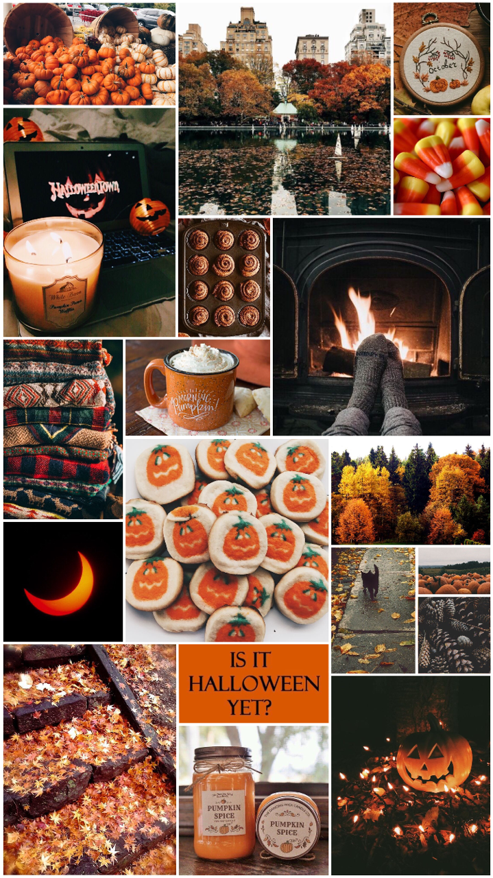 Picturesque Aesthetics — Beginning of October Autumnal Aesthetic
