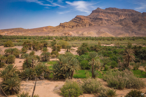 Oasis, somewhere in Morocco.