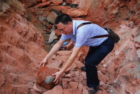 Sex sixpenceee:  Dozens of Dinosaur Eggs Discovered pictures