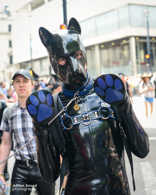 pupbolt:  London Gay Pride March, June 2015 I marched with the pups and dogs this year again, and had so much fun on a super sunny and warm day. There were rubber, topless, furry and leather pups a-go-go! Apart from being able to see and catch up with