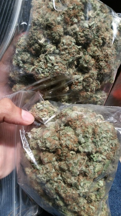 unf-rtunate:  thedrugcartel:  m0nster9:  I just need a girl to smoke this all with  weed goals  prettiest plants