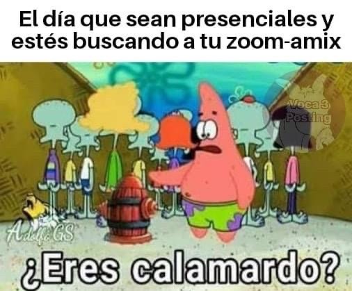 Memes do bob esponja