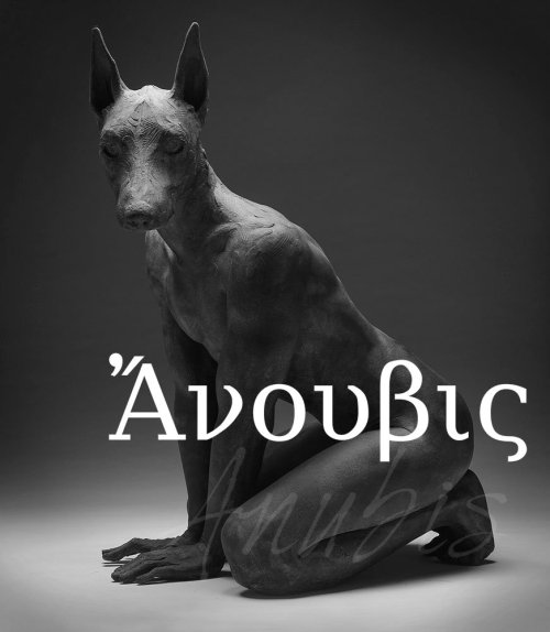 mortisia:  Anubis (Ancient Greek: Ἄνουβις) is the Greek name of a jackal-headed god associated with mummification and the afterlife in ancient Egyptian religion. Like many ancient Egyptian deities, Anubis assumed different roles in various contexts.