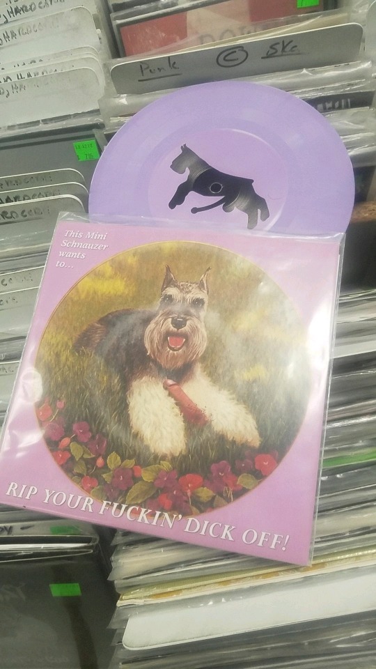 Went Record Shopping Today