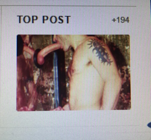 aussiephallus:  well done followers… this is the TOP POST for the week! it represents your DESIRES! 