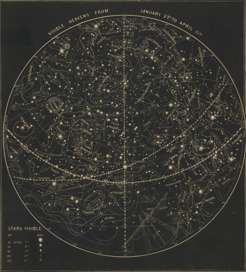 marthajefferson:itschis:David Rumsey Historical Map Collection1850 Star Chart