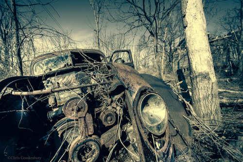 In the Shadow of Forgotten Beauty | Classic Car Graveyard on Flickr.