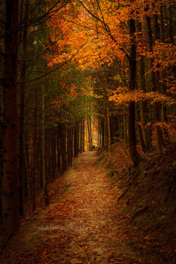 sitoutside:   Der Weg.   by  Robert Mehlan