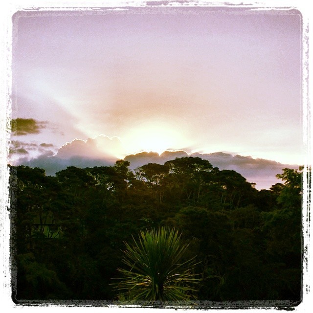 Sunset at Kell Park
#albany #auckland #northshore #newzealand #nz #summer (at Kell Park)