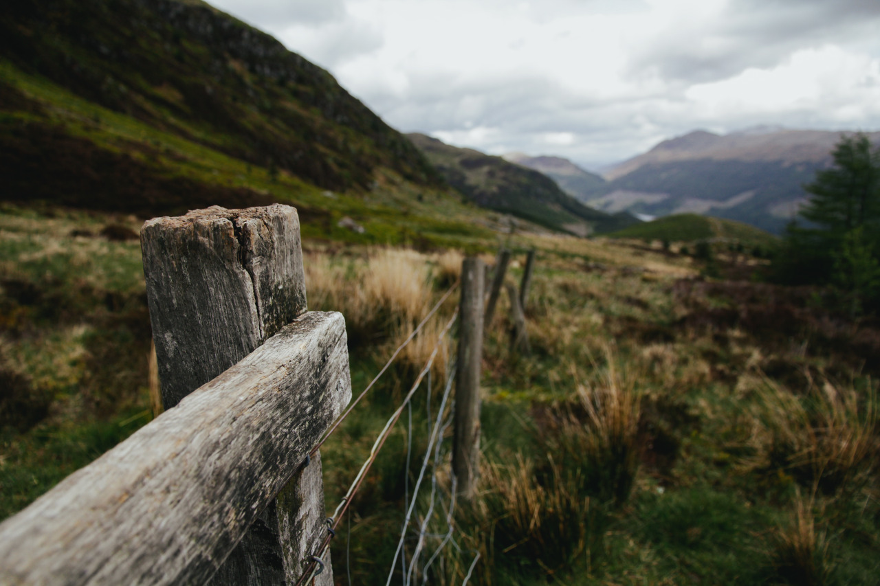 venus-luna:  goodoldfreshair:  “No fence will contain me”Ben Ledi, Calender,