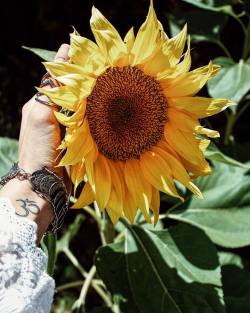 Shana-Makins:  Sunflowers Remind Me Of A Warm And Golden Childhood Spent Playing