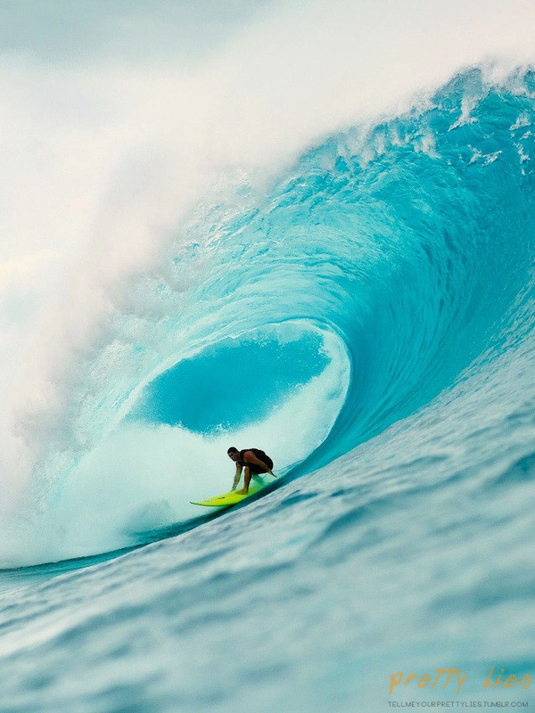 tellmeyourprettylies:  Dave Wassel. Photo: Stu Gibson 