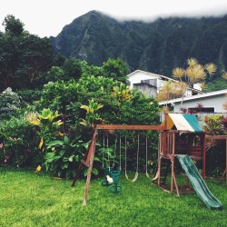 jessicasulls:  So much love for the ko'olaus