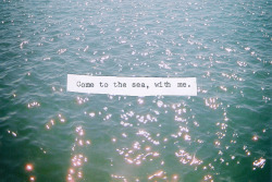 owlocene:  Come with me My love to the sea, te sea of love I want to tell you How much… I love you 