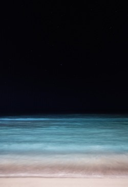 0rient-express:  Sea and Sky - Waikiki at